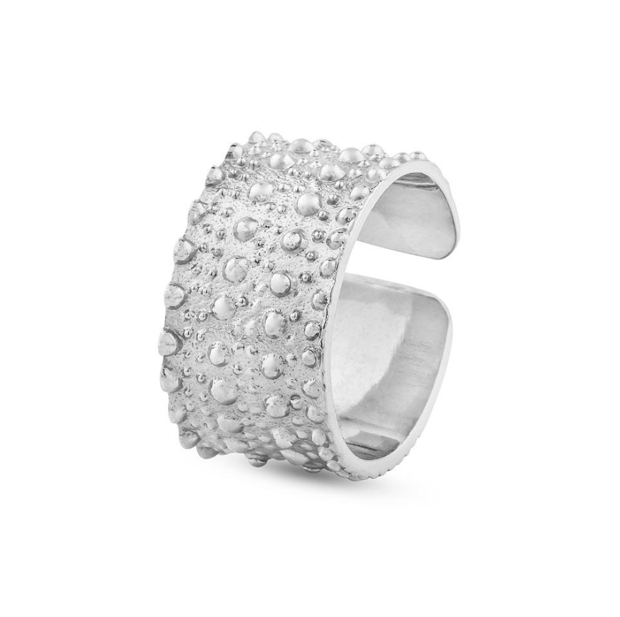 Horizon Ring
