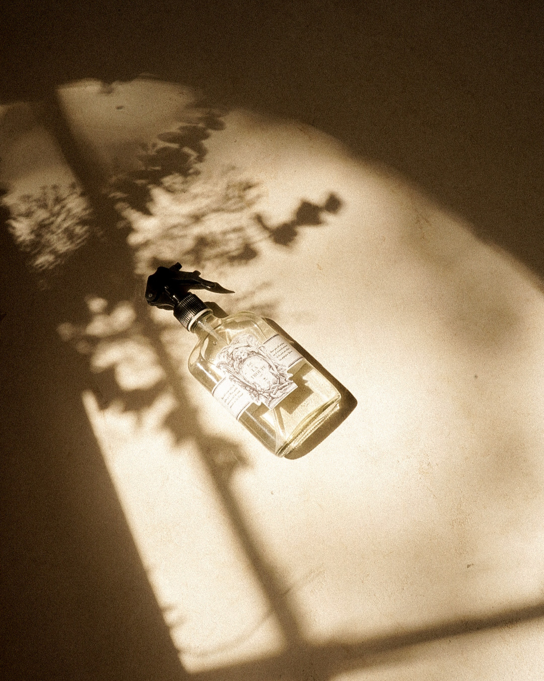 Perfumes & aromas