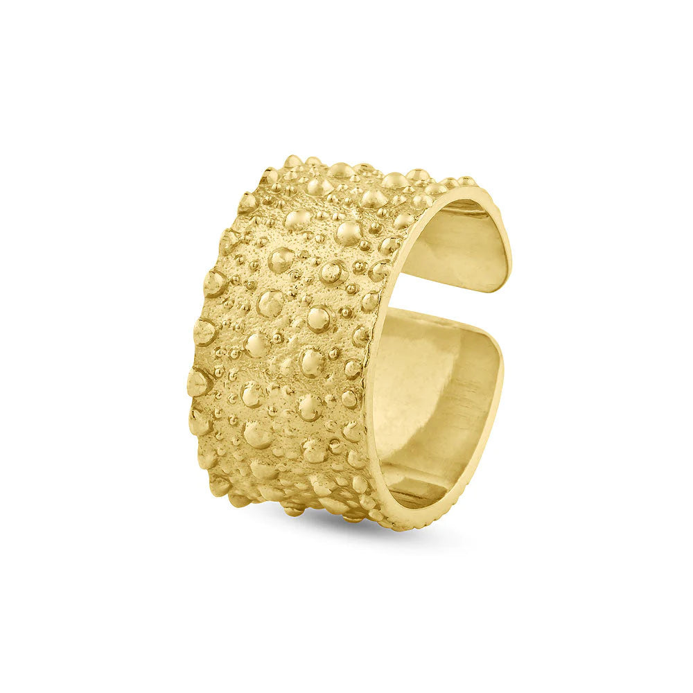 Anillo Horizon